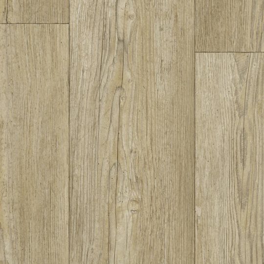 Winter pine natural