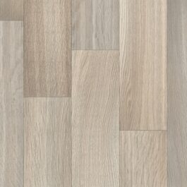 Botticelli T93